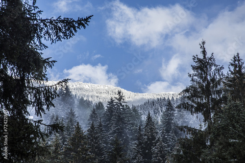 Paesaggio invernale 15 photo