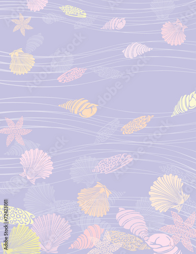 sea shells underwater