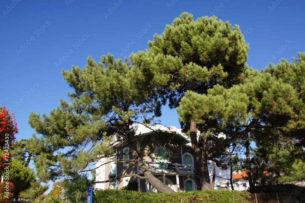 Maison vue sur l'Océan Atlantique Maison vue sur l'Océan Atlantique