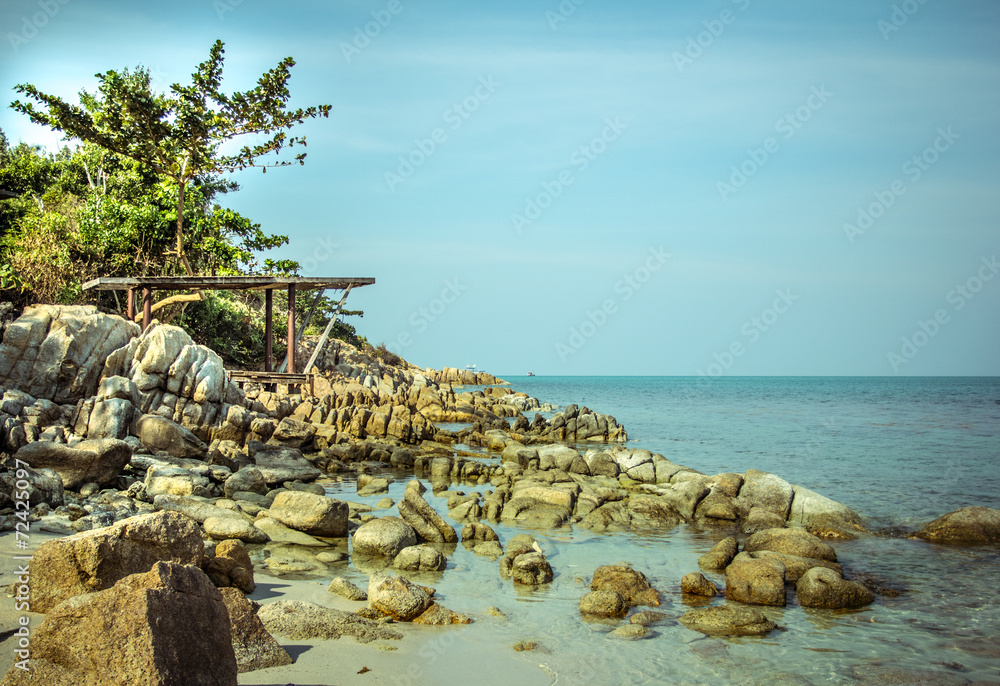 Gulf of Thailand coast with tree