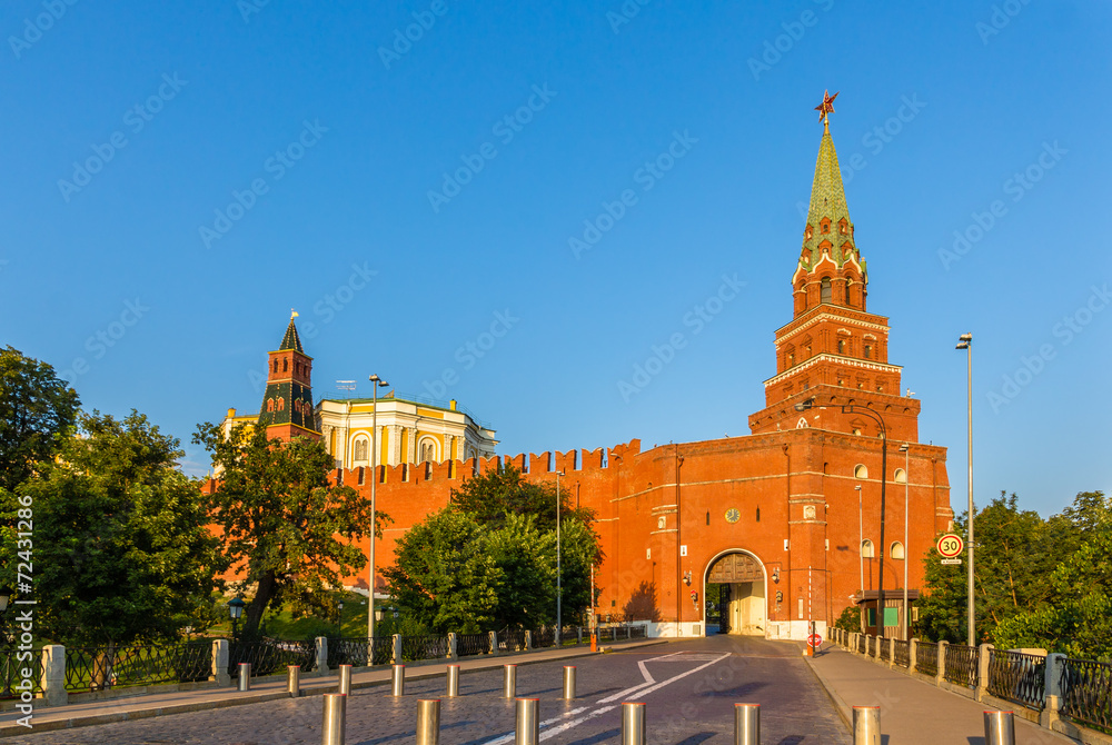Towers and walls of Moscow Kremlin, Russia