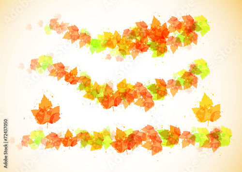 Collection beautiful colorful autumn leaves isolated
