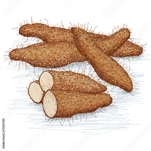 chinese taro
