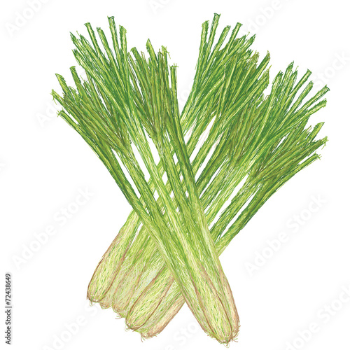 lemon grass