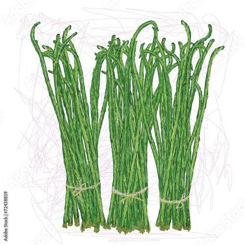 long beans vegetable