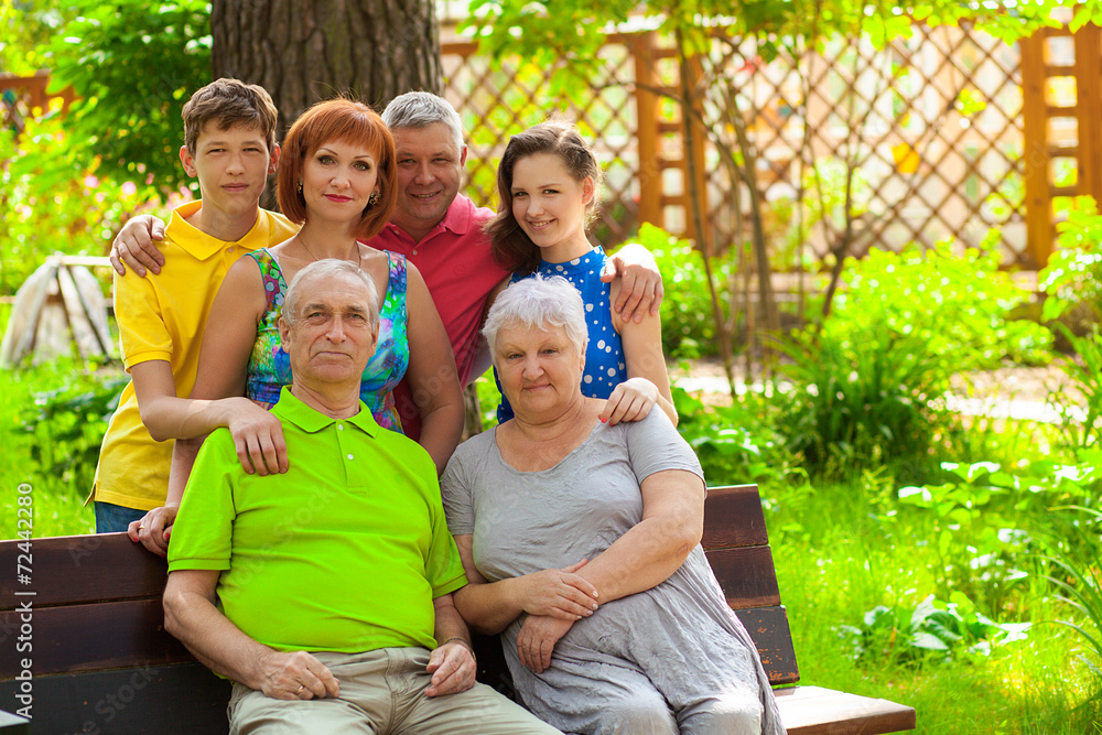 Дружная Семья