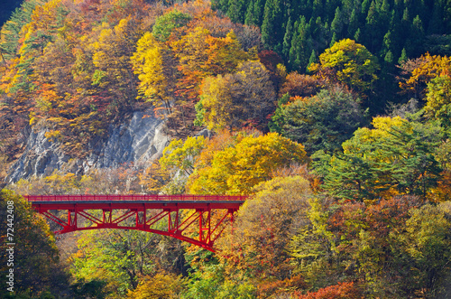 松川渓谷 赤い橋と紅葉