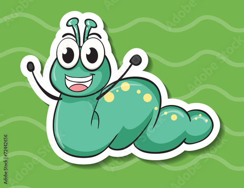 Worm
