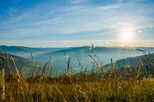 fog in the green mountains