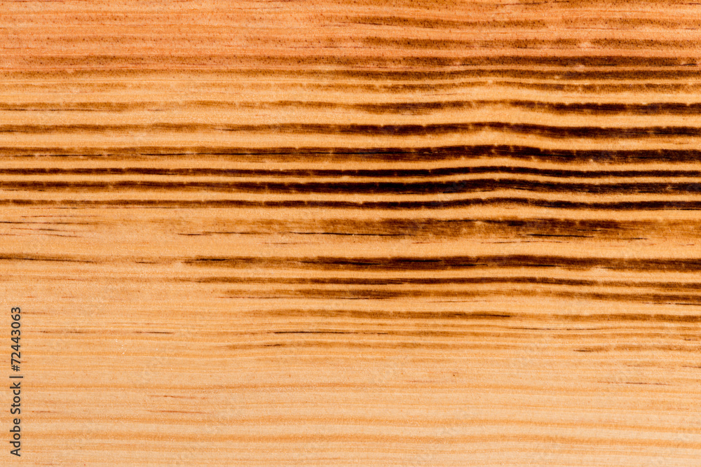  Burned pine wood background