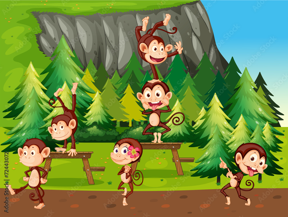 Obraz premium Monkeys and park
