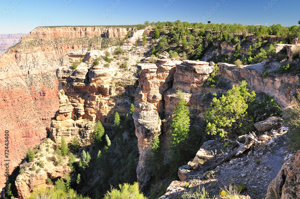 View to Grand Canyon national park. Arizona. USA.