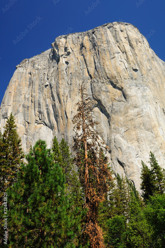 Rock mountain in Yosemite national park. California. USA. Rock mountain in Yosemite national park. California. USA.
