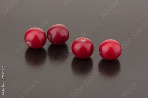 Cranberry isolated on black background closeup © EM Art