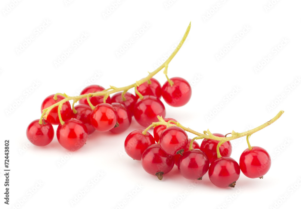 Red currants still life isolated on white background Red currants still life isolated on white background