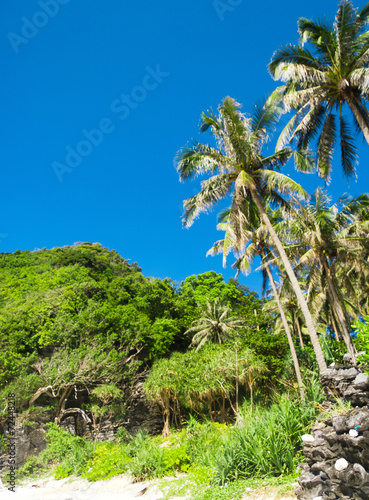 Wallpaper Mural Exotic Getaway Green Backdrop Torontodigital.ca