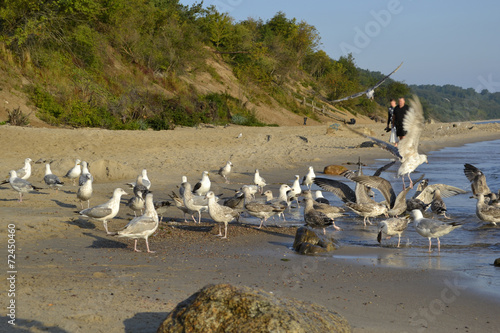 Obraz na płótnie Plaża w salonie