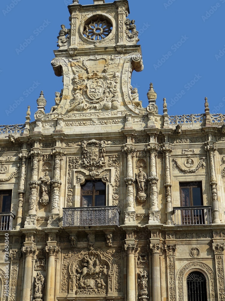 Fototapeta premium Leon