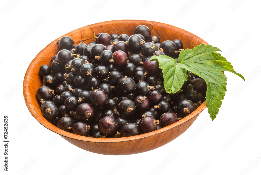 Black currant Black currant