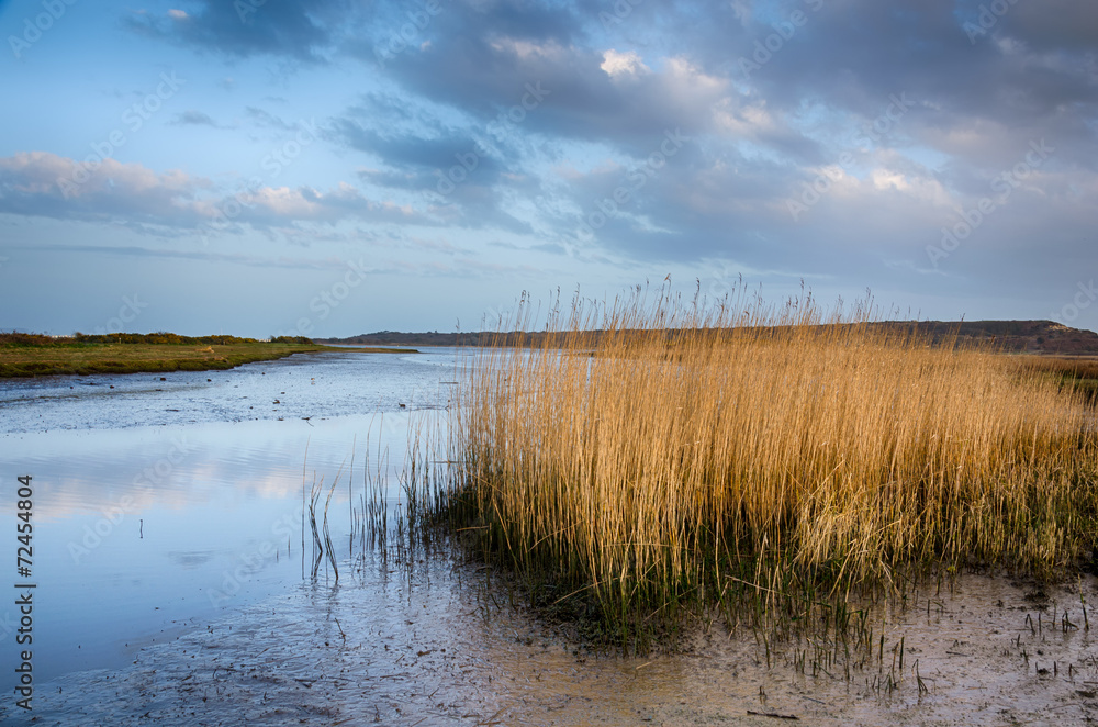Fototapeta premium Stanpit Marsh