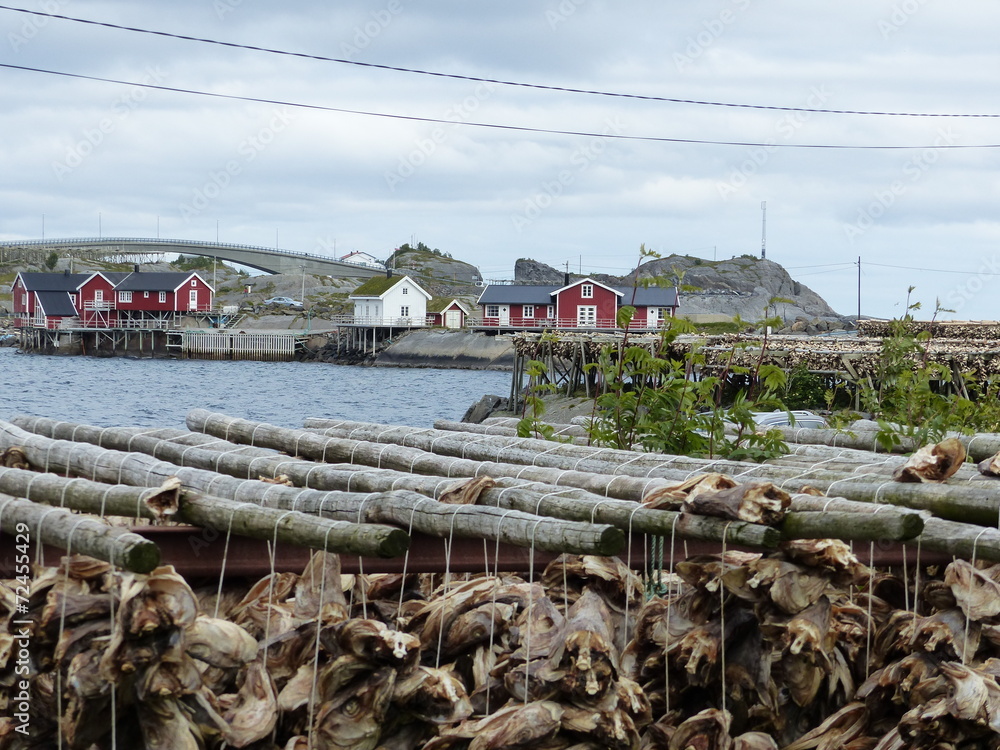 Trace De Morue Norvège – Monture Prête à Pêcher, Rouge, Avec émerillon