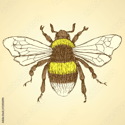 Sketch bumble bee in vintage style