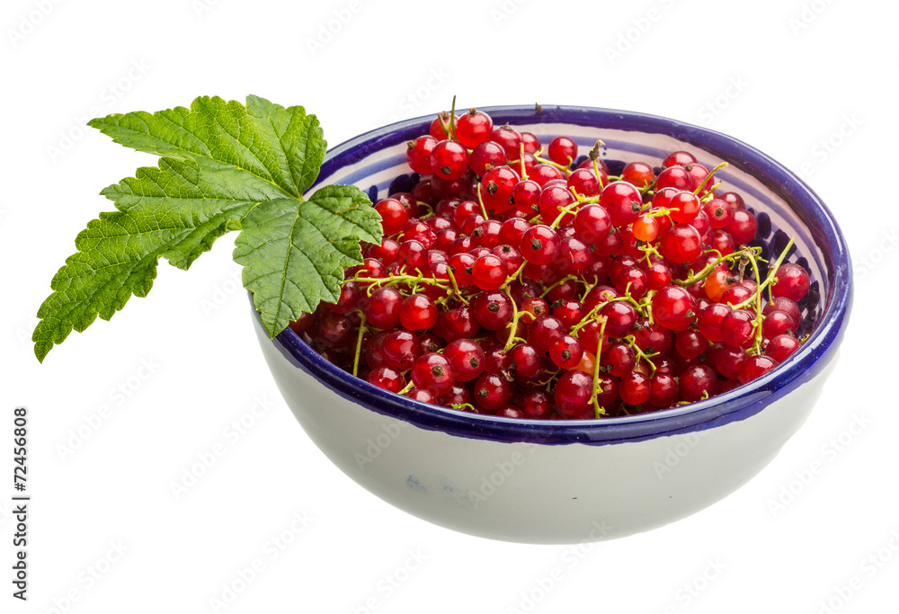 Red currant Red currant