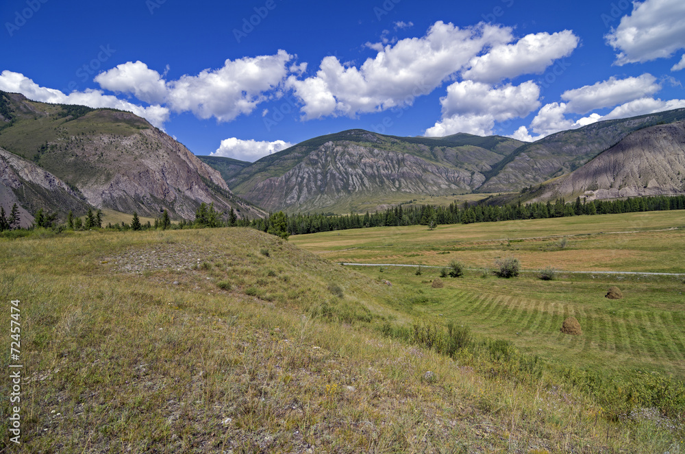 Haymaking in the mountains. Altai, Russia.