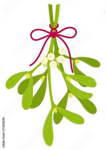 Mistletoe bouquet with bow of red rope