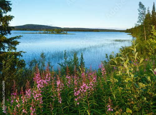 Lake summer view (Sweden).