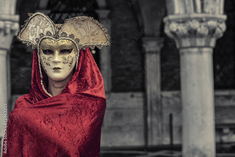 Fototapeta premium Beautiful Woman in Mysterious Mask