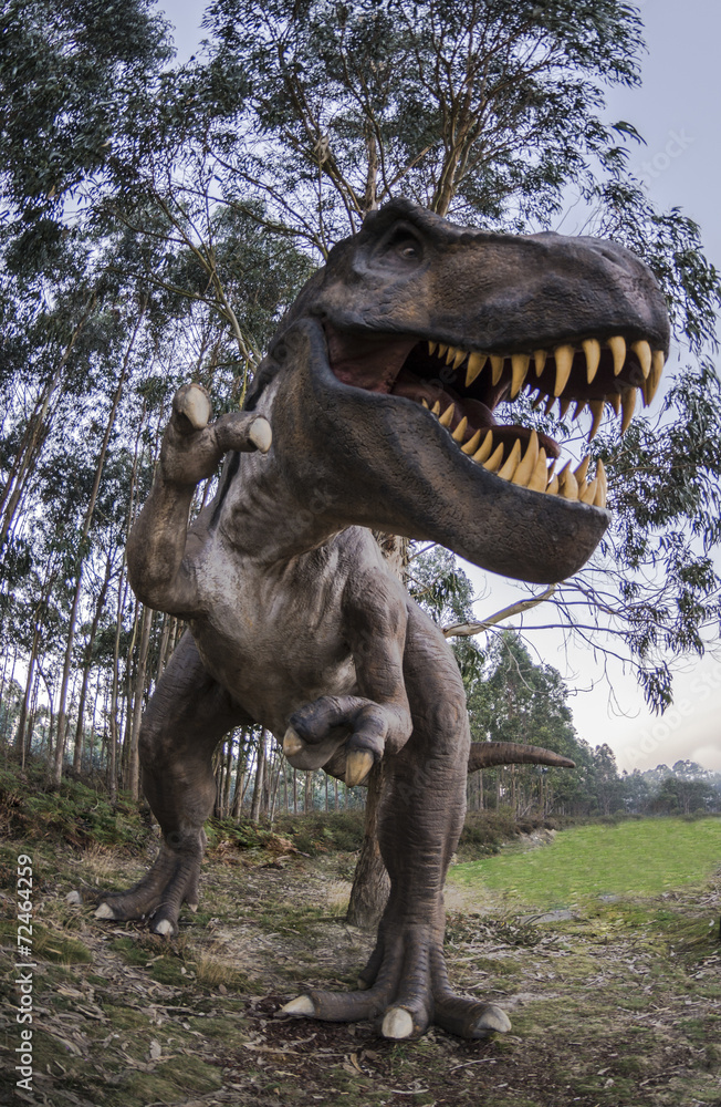 Obraz premium Kompletna Tyrannosaurus Rex