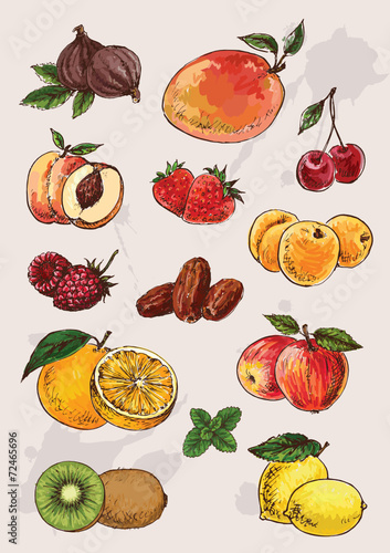 collection of  hand drawing isolated  fruits