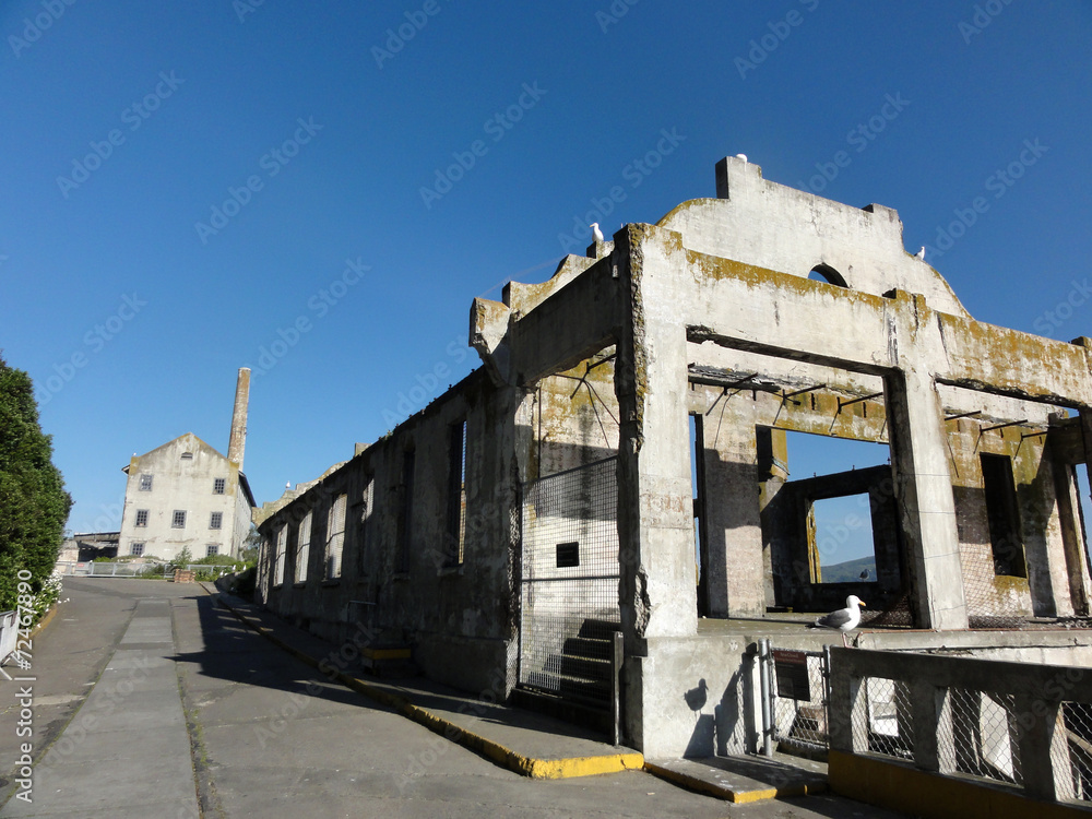 Western Seagulls rest on Old Buildings along path on Alcatraz Western Seagulls rest on Old Buildings along path on Alcatraz