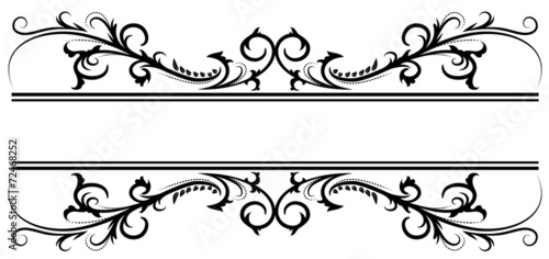 Floral frame 13