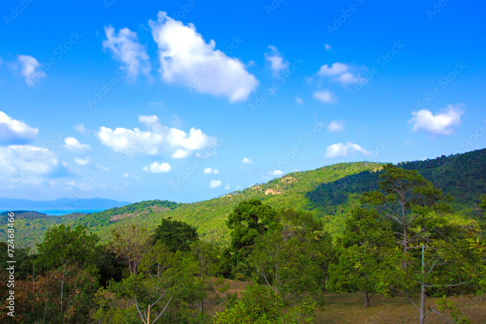 The landscape on Koh Samui