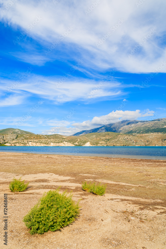 Green plants growing on shore of salt lake, Kefalonia island Green plants growing on shore of salt lake, Kefalonia island