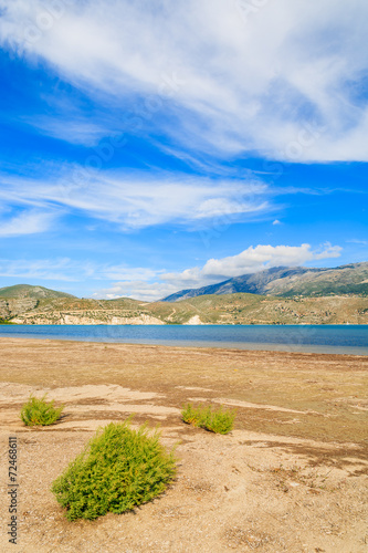 Green plants growing on shore of salt lake, Kefalonia island