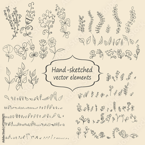 Hand sketched vintage floral elements