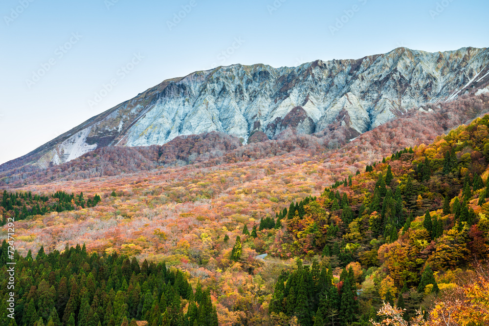 秋の大山