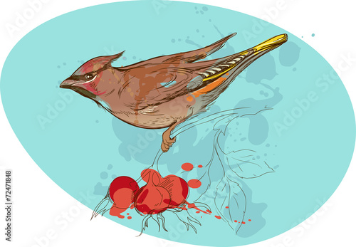 image of bird on a branch with sorbus berries and smudges