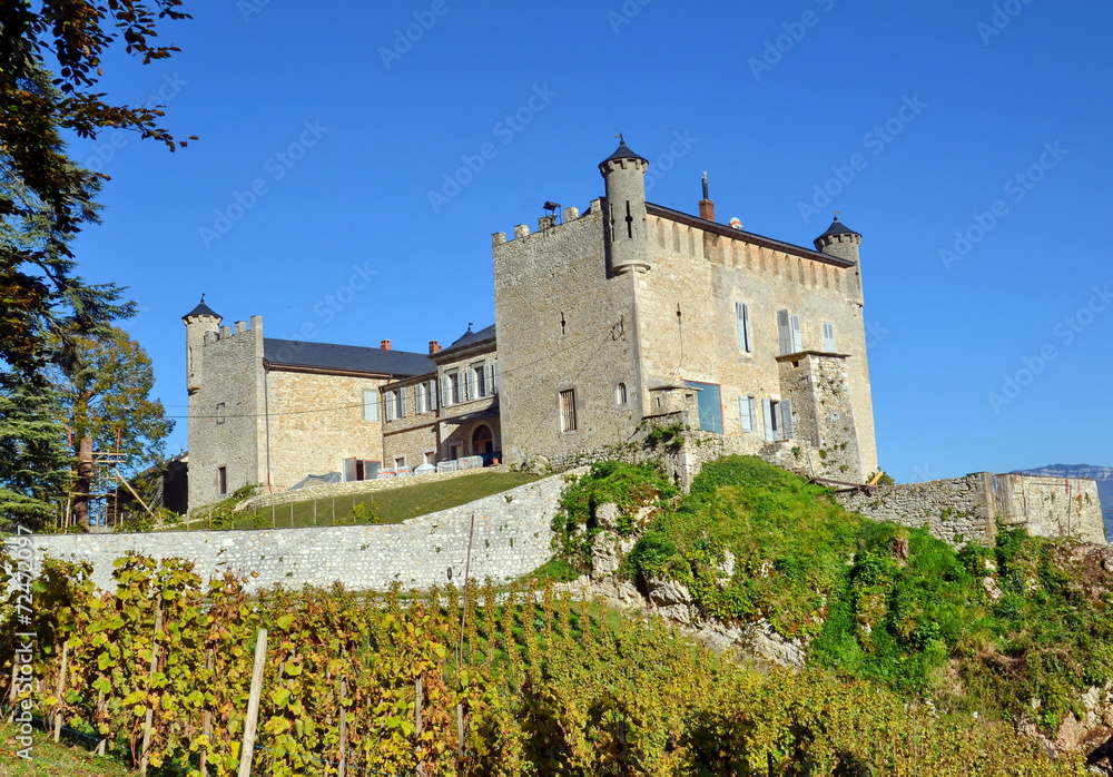 château  de bourdeau -savoie