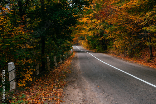 autumn road © standret
