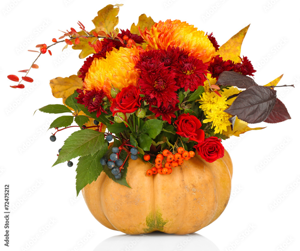 Obraz premium Beautiful autumn composition in pumpkin isolated on white