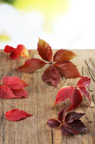 Beautiful autumn leaves on wooden background