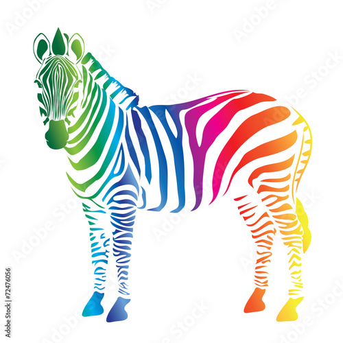 Zebra color palette