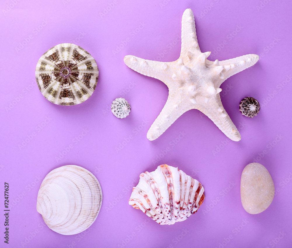 Sea souvenirs on purple background