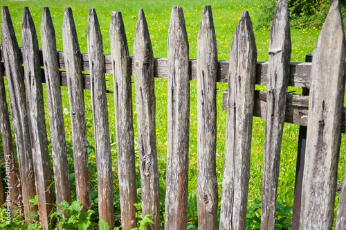 detail of a wooden garden fence