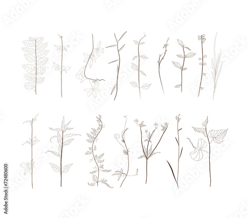 Hand Drawn vintage floral and decor elements