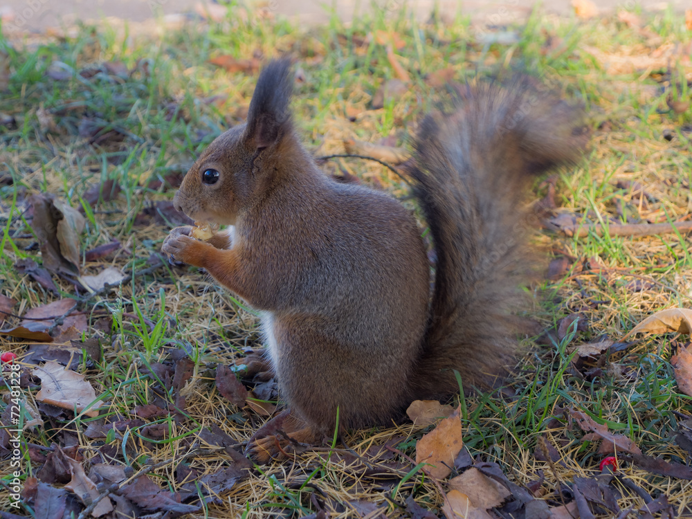 Fototapeta premium best entertainment